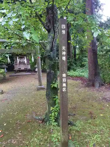 成田熊野神社の自然