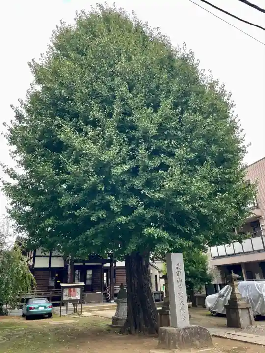 成田山不動大教会(東京都)