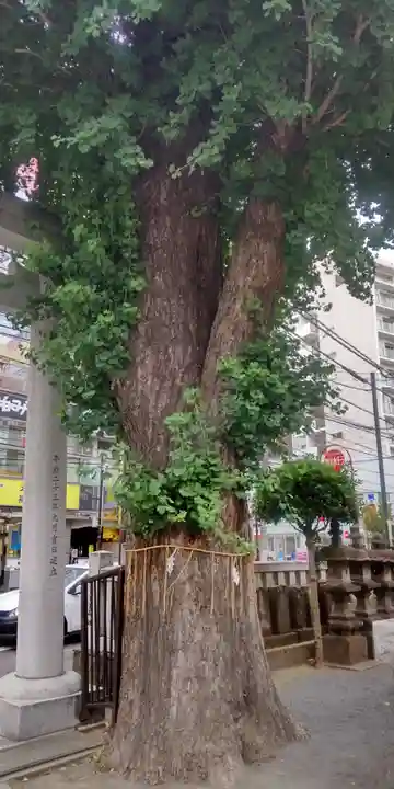 柏神社(千葉県)