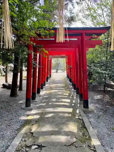 姫路神社の鳥居