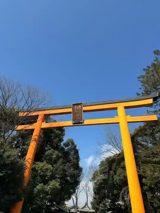 川越氷川神社(埼玉県)