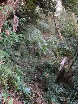 山王神社(千葉県)