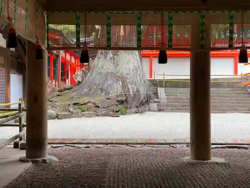 春日大社の本殿・本堂