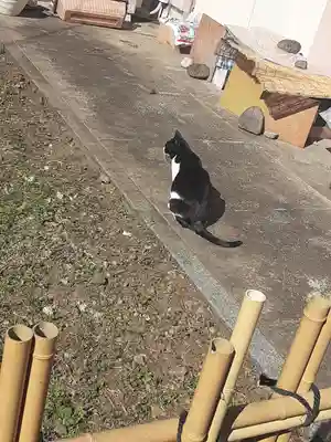 白金氷川神社(東京都)