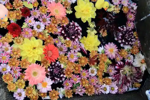 大鏑神社の手水舎