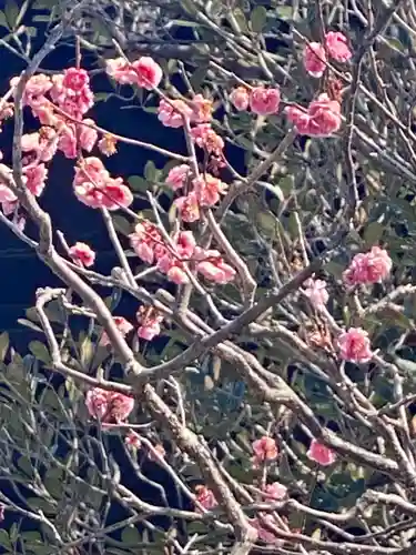 芳春院(京都府)