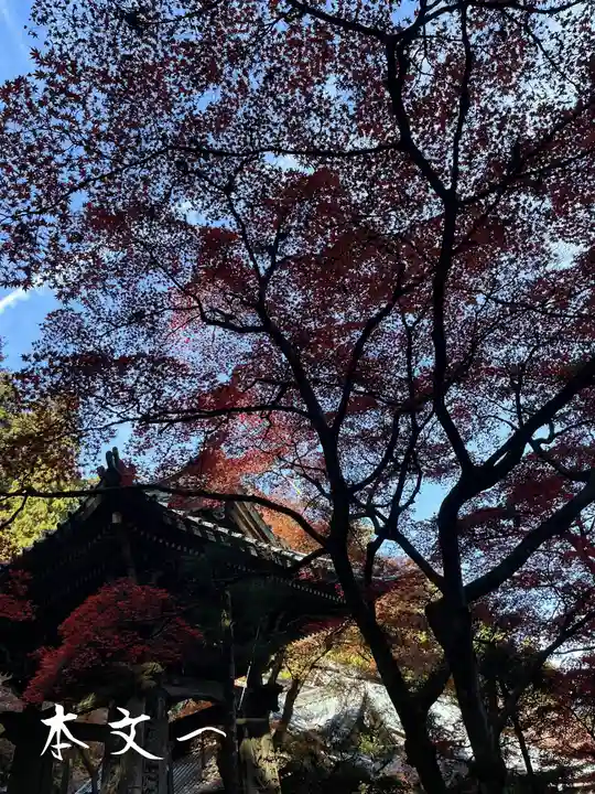 最乗寺(道了尊)(神奈川県)