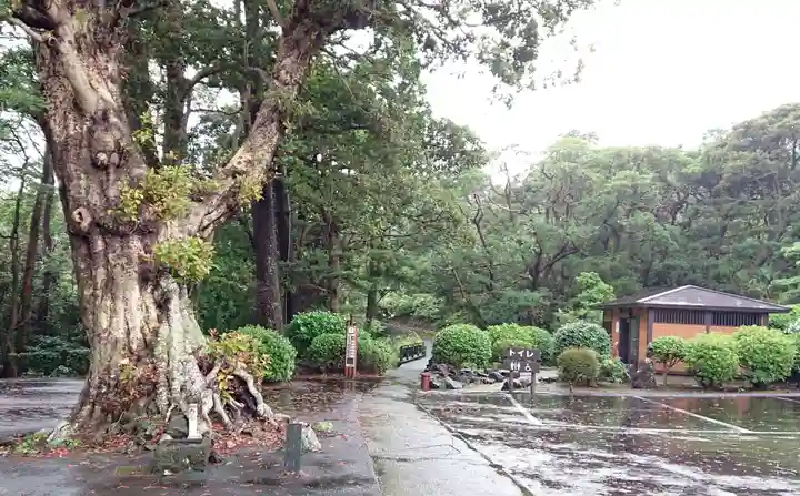 蓮着寺(静岡県)