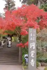 円覚寺(神奈川県)