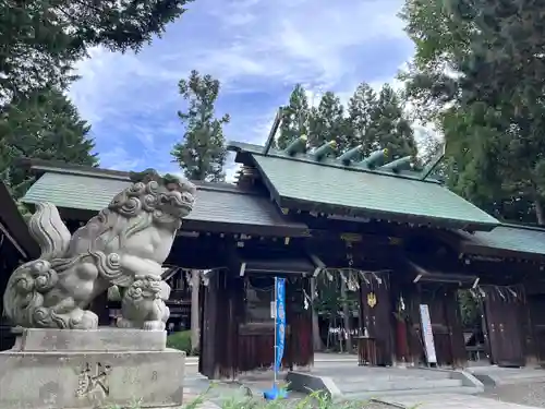 琴似神社の狛犬