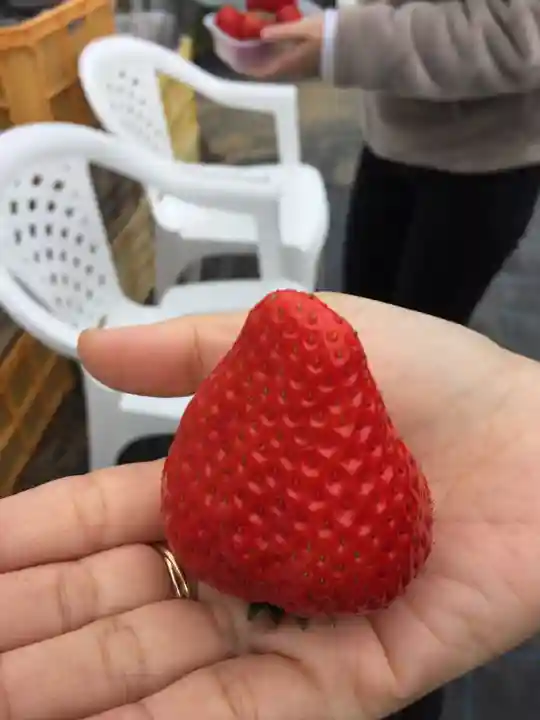 浪切不動院の周辺