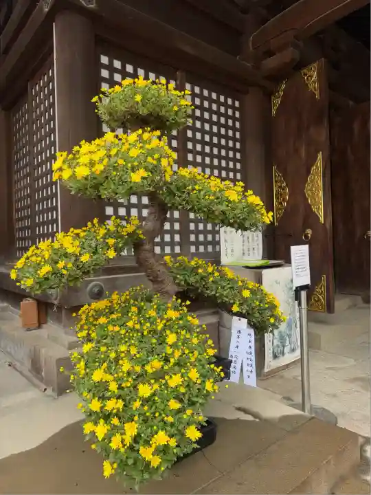 武蔵一宮氷川神社(埼玉県)