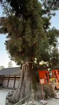 春日大社(奈良県)