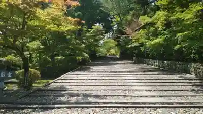 光明寺（粟生光明寺）のその他建物