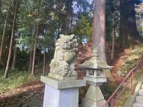 須山浅間神社の狛犬