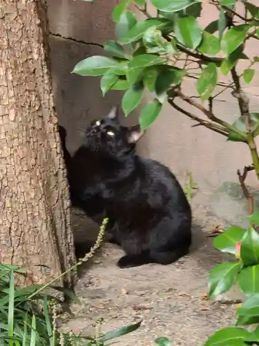 綱敷天満宮(福岡県)