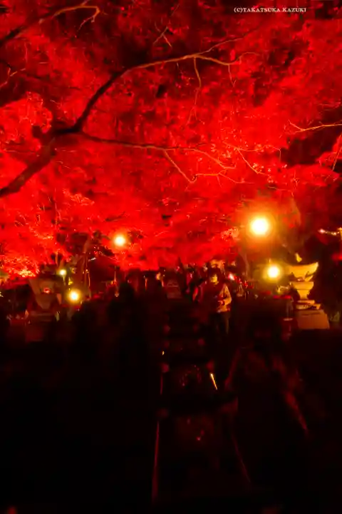 大山寺(神奈川県)