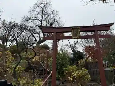 白山神社(東京都)