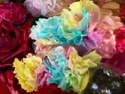 札幌諏訪神社の手水舎