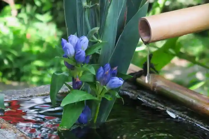 宝蔵寺(京都府)