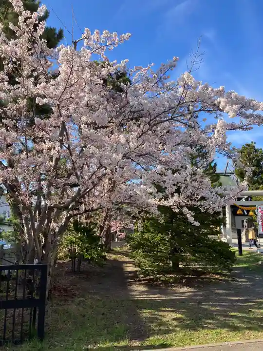 烈々布神社の自然