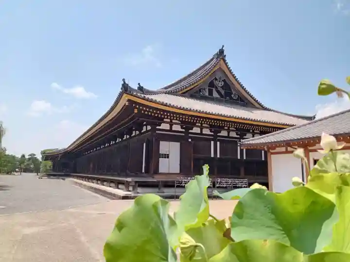 蓮華王院(三十三間堂)(京都府)