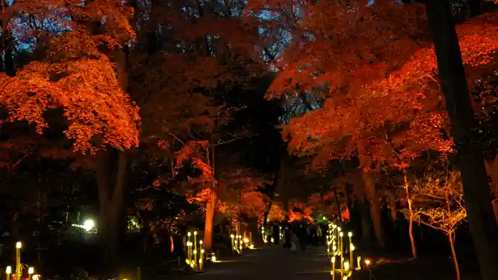 賀茂御祖神社(下鴨神社)(京都府)