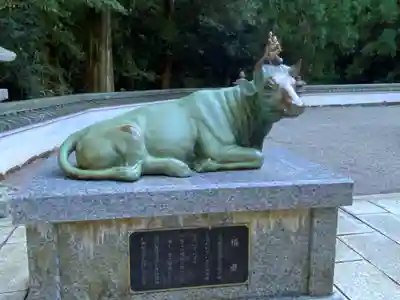 金剛證寺の狛犬