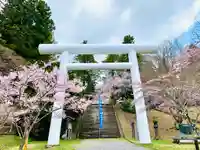 土津神社|こどもと出世の神さまの鳥居