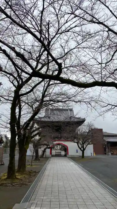 本覚院の山門・神門