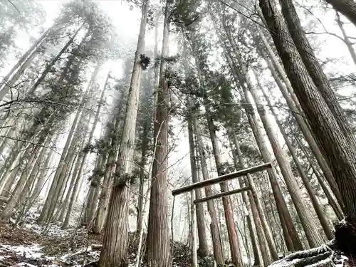 戸隠神社宝光社(長野県)