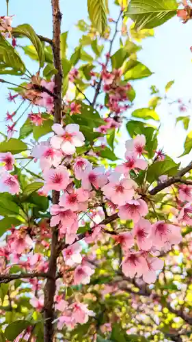 麻賀多神社の芸術