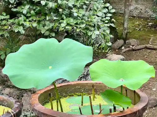 伊勢の国 四天王寺(三重県)
