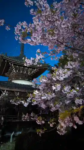 清凉寺(京都府)