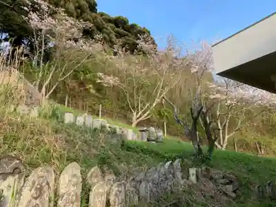 愛宕神社(千葉県)