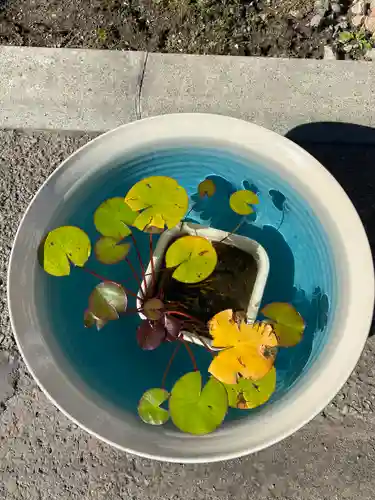 佛願寺(北海道)