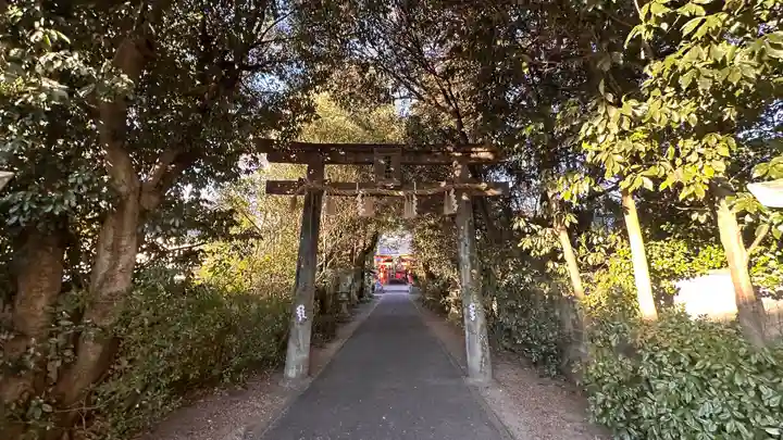 許波多神社(五ケ庄鎮座)(京都府)