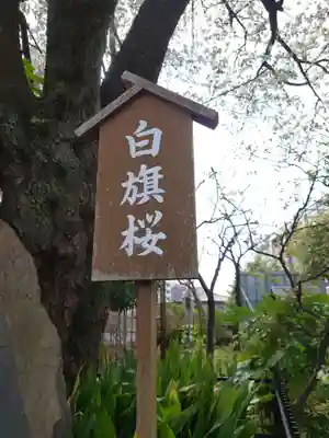 白山神社のその他建物