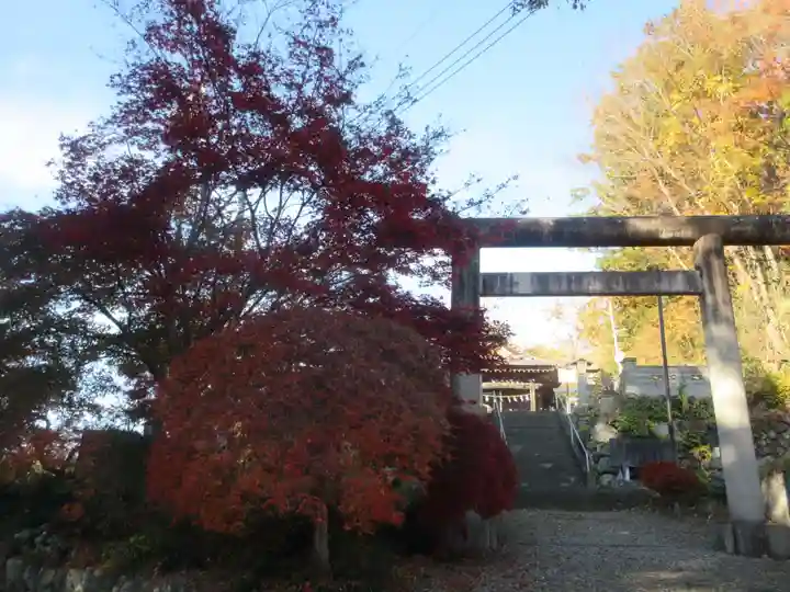八坂神社(埼玉県)