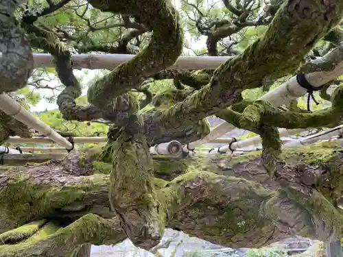 善峯寺(京都府)