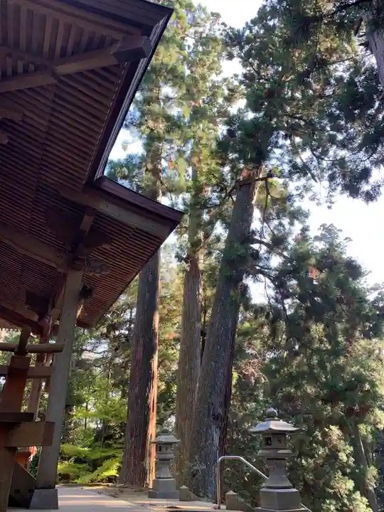 三島神社の自然