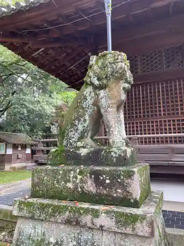 向日神社の狛犬