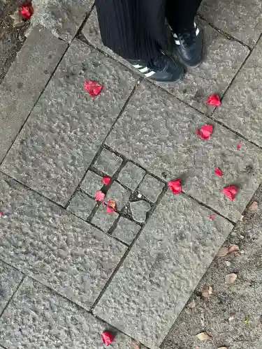 堤治神社の{uncategorized: "未分類", other: "その他", undefined: "問題あり", building: "その他建物", grave: "お墓", sacred_gate: "鳥居", guardian: "狛犬", statue: "像", buddha: "仏像", history: "歴史", nature: "自然", garden: "庭園", animal: "動物", pagoda: "塔", temizu: "手水舎", mountain_gate: "山門・神門", sanctuary: "本殿・本堂", subordinate: "末社・摂社", art: "芸術", scenery: "景色", jizo: "地蔵", ema: "絵馬", goshuin: "御朱印", omikuji: "おみくじ", items: "授与品その他", amulet: "お守り", goshuincho: "御朱印帳", eats: "食事", festival: "お祭り", votive_dance: "神楽", shichigosan: "七五三参", wedding: "結婚式", experience: "体験その他", initially: "初詣", around: "周辺", anti_infection: "感染症対策"}
