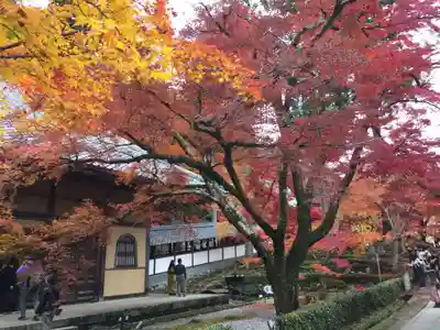 永源寺(滋賀県)