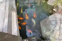 繁多寺の{uncategorized: "未分類", other: "その他", undefined: "問題あり", building: "その他建物", grave: "お墓", sacred_gate: "鳥居", guardian: "狛犬", statue: "像", buddha: "仏像", history: "歴史", nature: "自然", garden: "庭園", animal: "動物", pagoda: "塔", temizu: "手水舎", mountain_gate: "山門・神門", sanctuary: "本殿・本堂", subordinate: "末社・摂社", art: "芸術", scenery: "景色", jizo: "地蔵", ema: "絵馬", goshuin: "御朱印", omikuji: "おみくじ", items: "授与品その他", amulet: "お守り", goshuincho: "御朱印帳", eats: "食事", festival: "お祭り", votive_dance: "神楽", shichigosan: "七五三参", wedding: "結婚式", experience: "体験その他", initially: "初詣", around: "周辺", anti_infection: "感染症対策"}