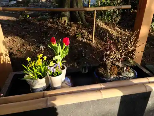 下野 星宮神社の手水舎