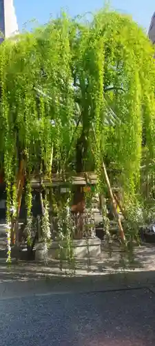 頂法寺（六角堂）の自然