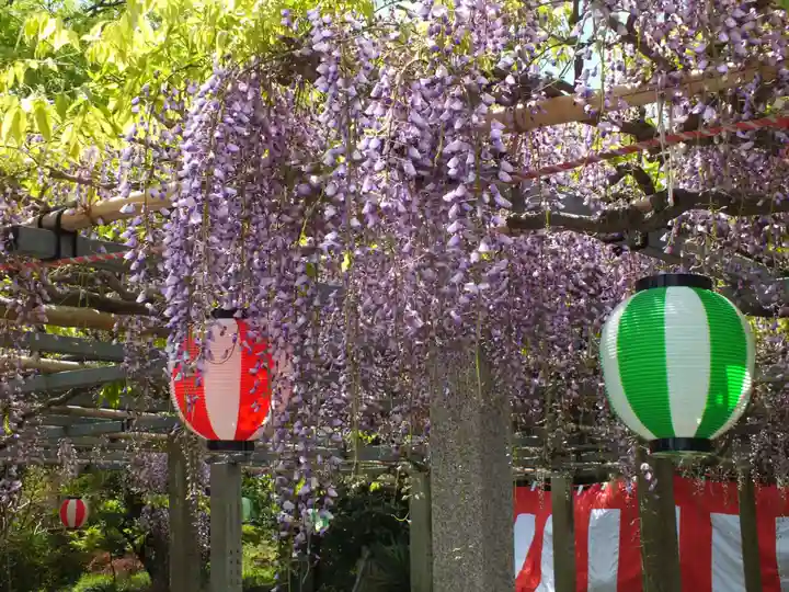 惣社神社の自然