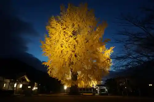 丹生酒殿神社の自然