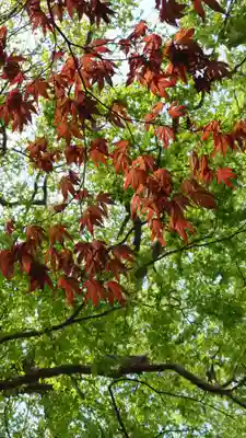 相馬神社(北海道)